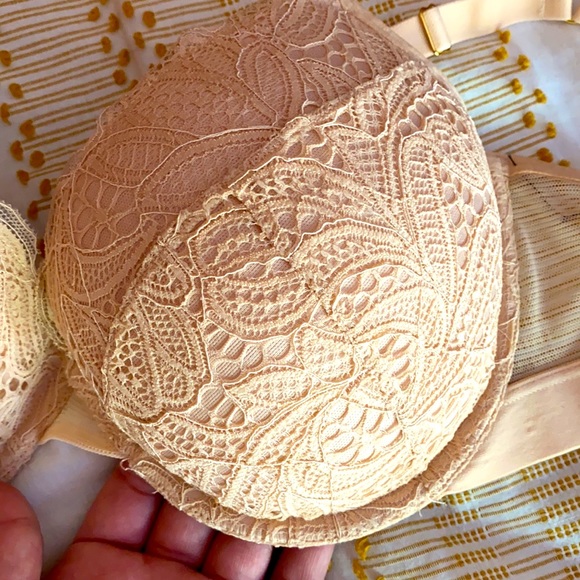 Lively Bra - Picture 2 of 4